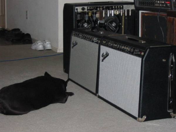 110-1002_IMG.JPG