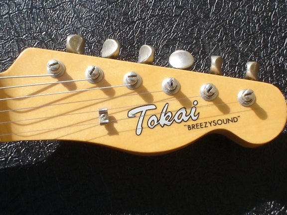 tokai_head.jpg