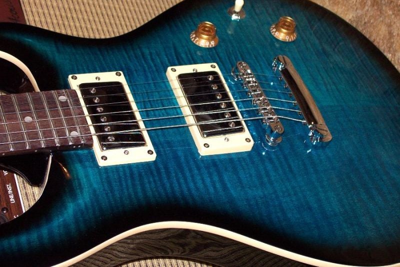 Blue_Raven_closeup.jpg