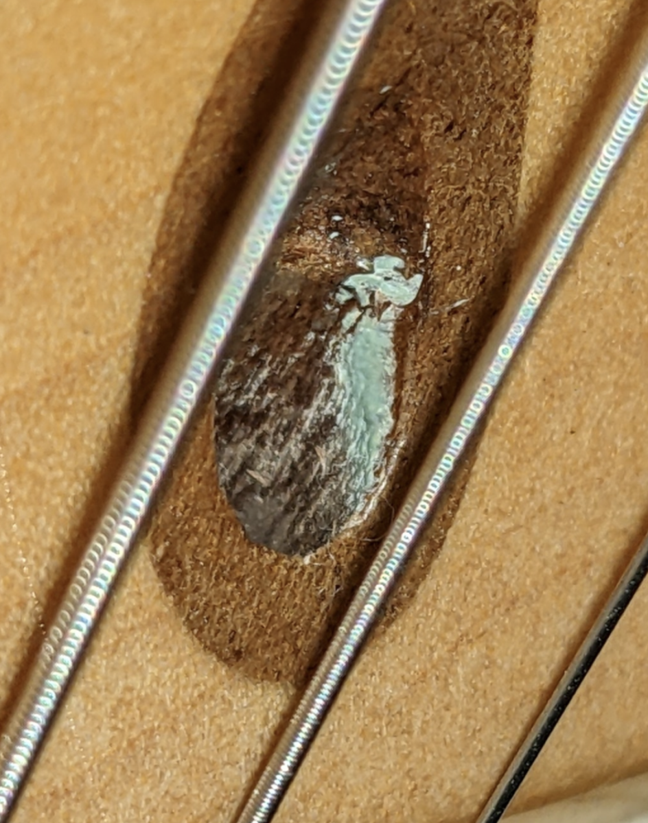 gunk-in-truss-rod-channel-telecaster-guitar-forum