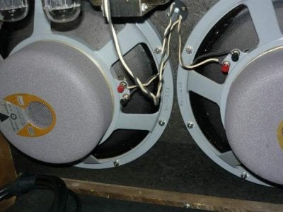 Fender 1966 Blackface Twin Reverb D131F closeup 3.jpg