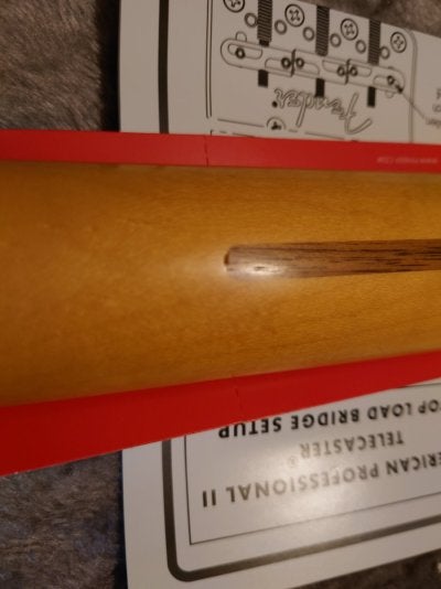 20230426_153056.JPG