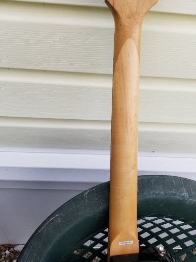 20230428_172617.jpg