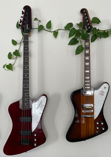 【2024】お歳暮・冬ギフト vs Thunderbird Firebird Forum Guitar Telecaster | Body ギター