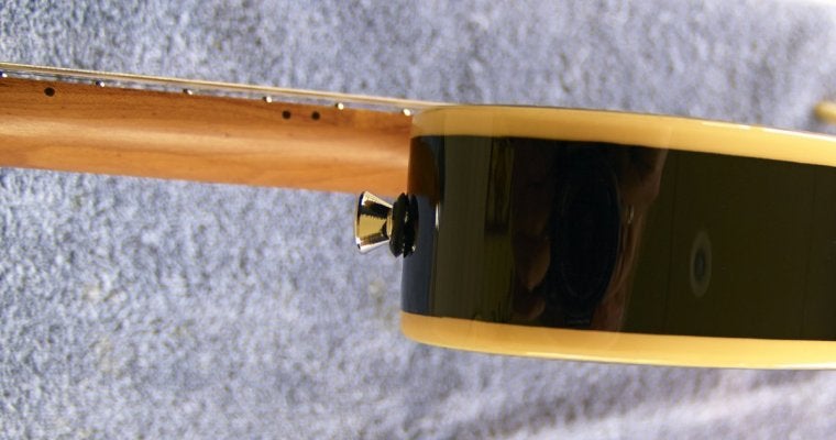 DL279906.jpg