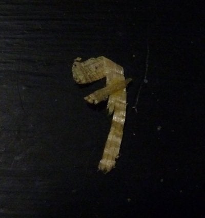 Fender Logo Wood Shaving.jpg