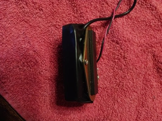 20250725_193553.jpg
