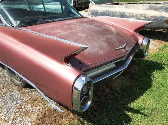 cad60 burgmist tail fin.jpg