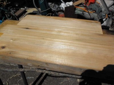 shiny hoop pine1.jpg