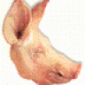 MORCILLO